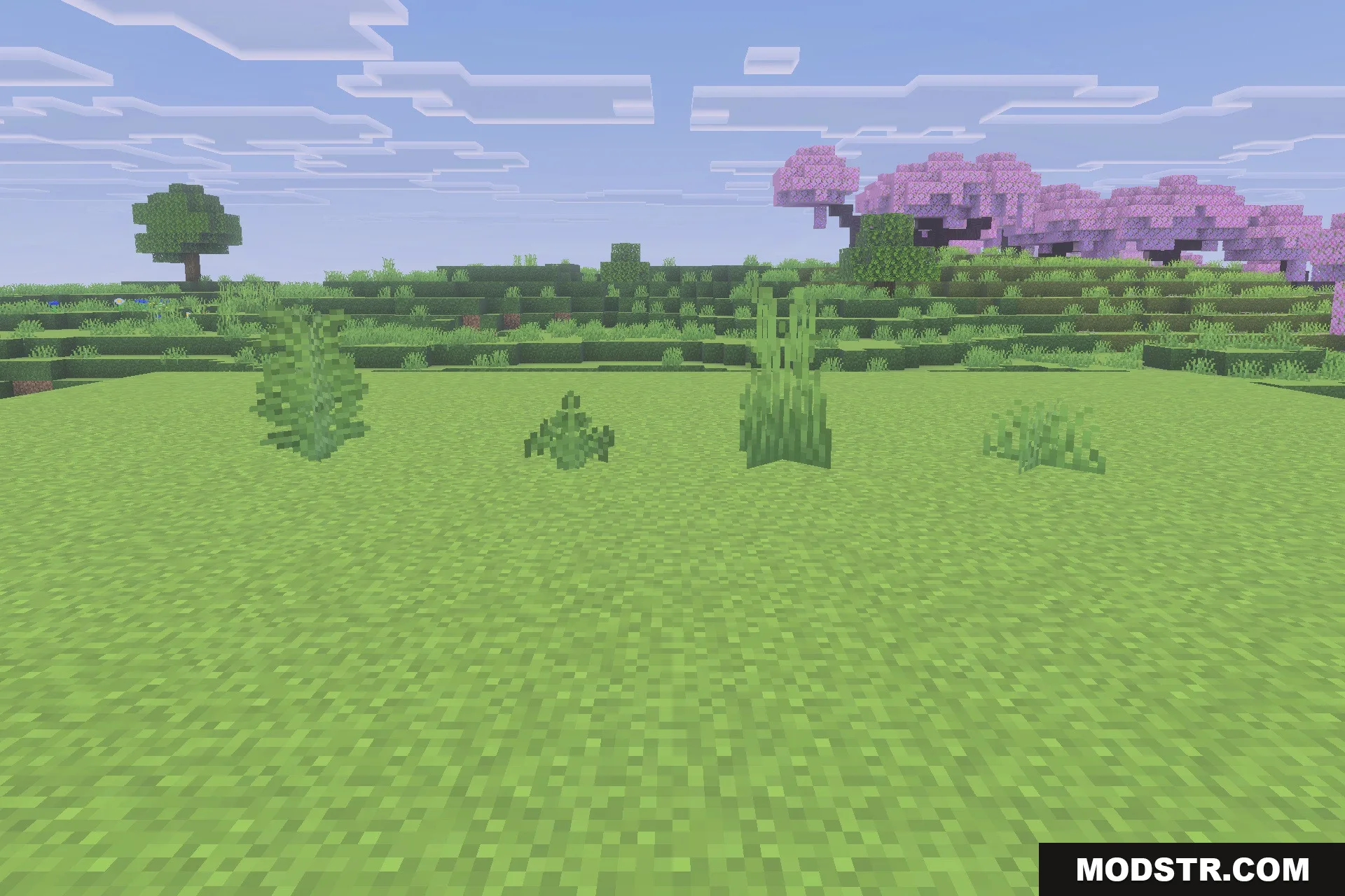 Fast Better Grass - Full Grass Texture Pack Screenshot 3 Various plants displayed on a flat landscape with full sided grass blocks