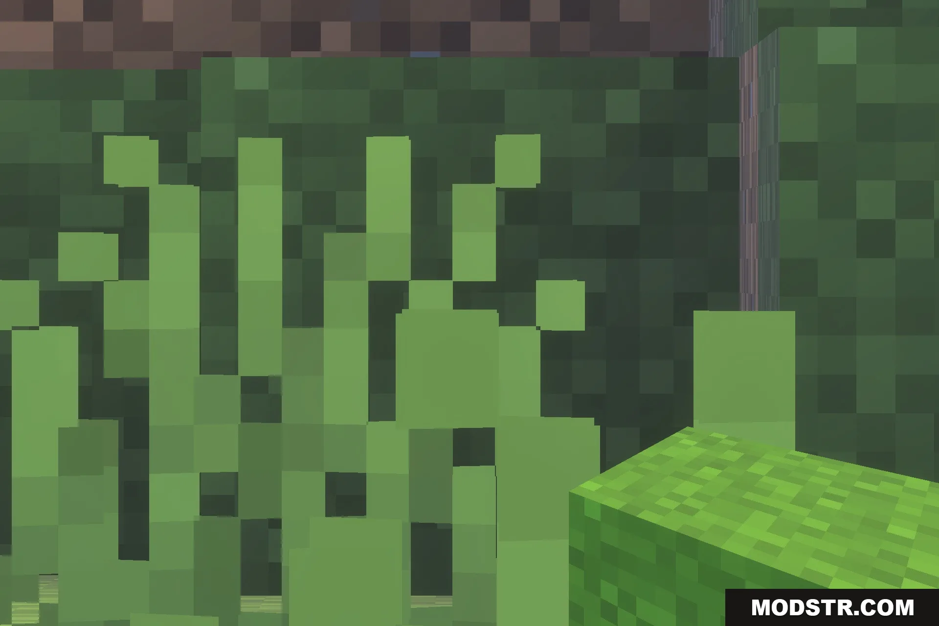 Fast Better Grass - Full Grass Texture Pack Screenshot 5 Close up view of grass blocks with full side textures in Minecraft