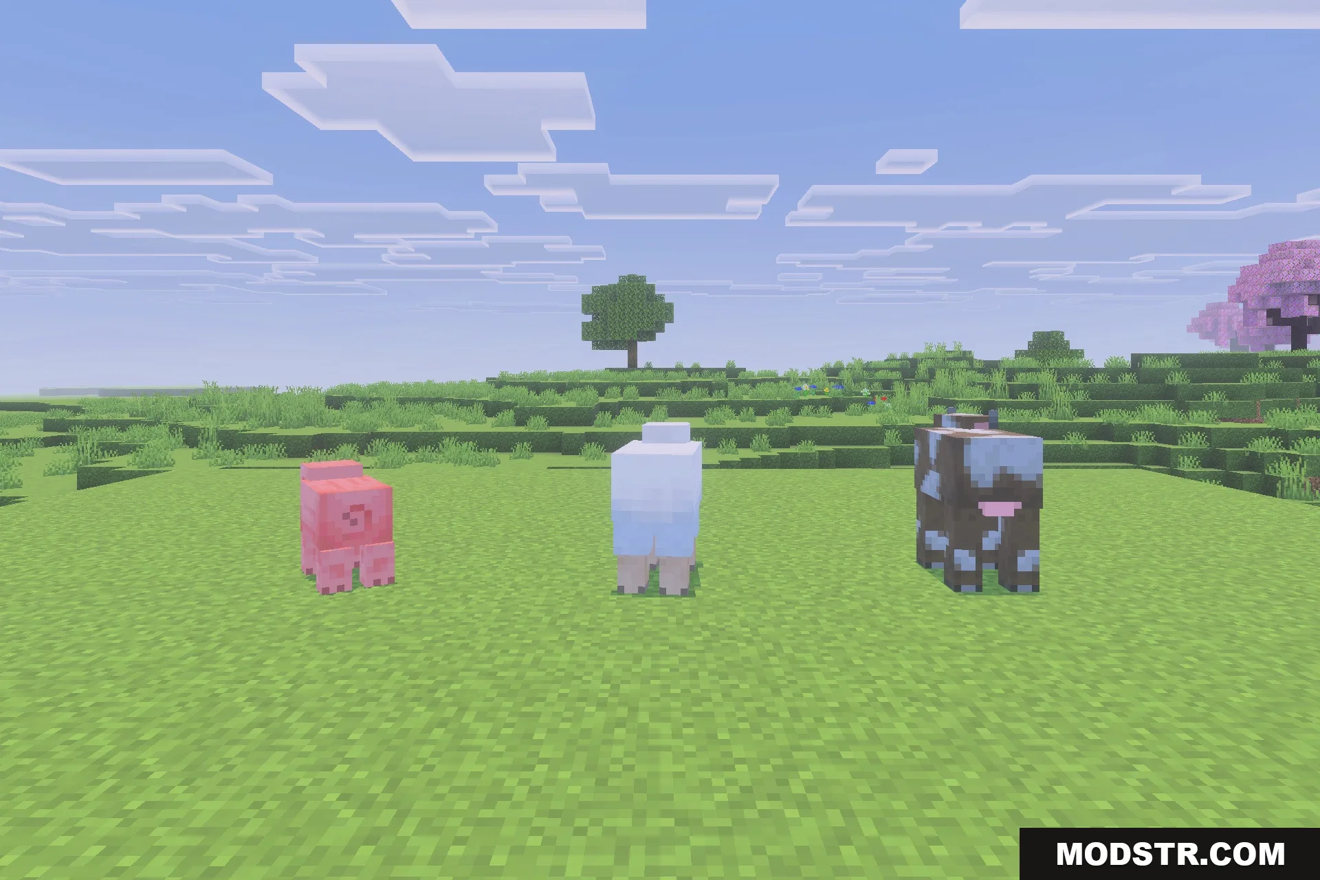 Fast Better Grass - Full Grass Texture Pack Screenshot 4 Minecraft animals standing on a flat field with full sided grass textures