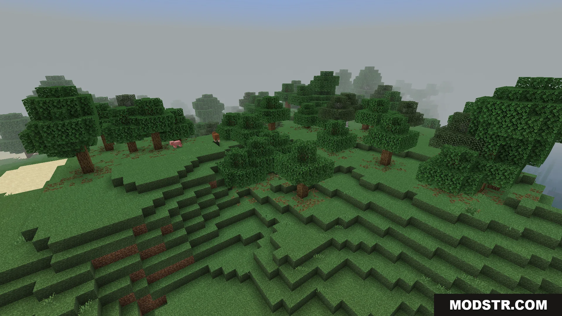Feather FPS Boost Addon Screenshot 5 Minecraft landscape showing simplified textures and reduced particles for better performance