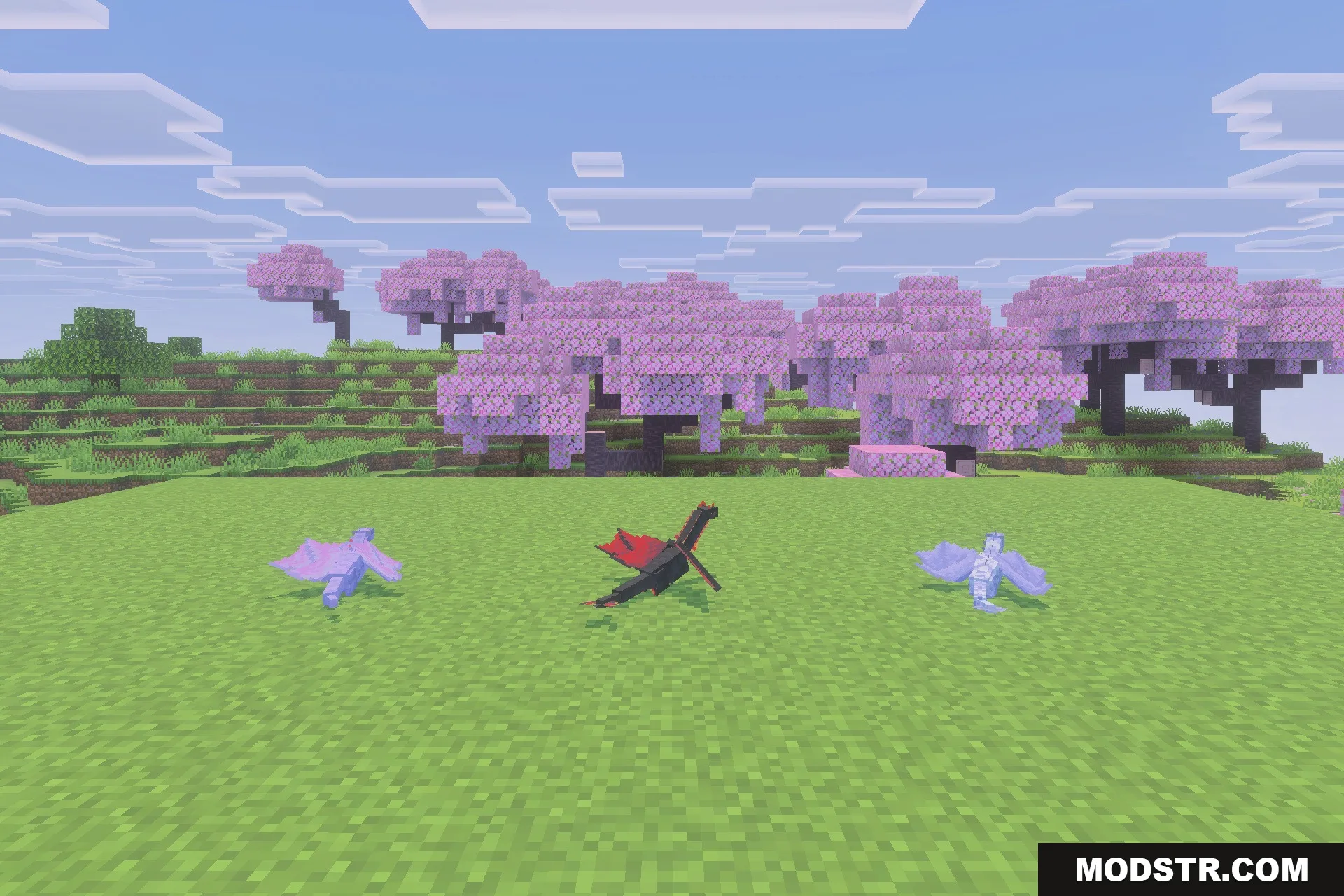 Fire and Steel Dragons Addon Screenshot 5 Three baby dragons standing on green grass near pink cherry blossom trees