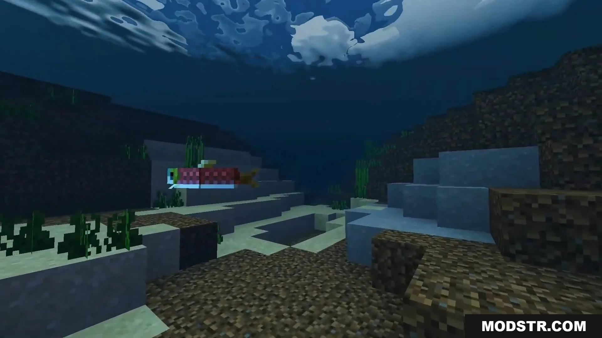 FirmamentCraft 5.0 Shader Screenshot 5 Underwater scene showing a swimming salmon and realistic water surface reflections