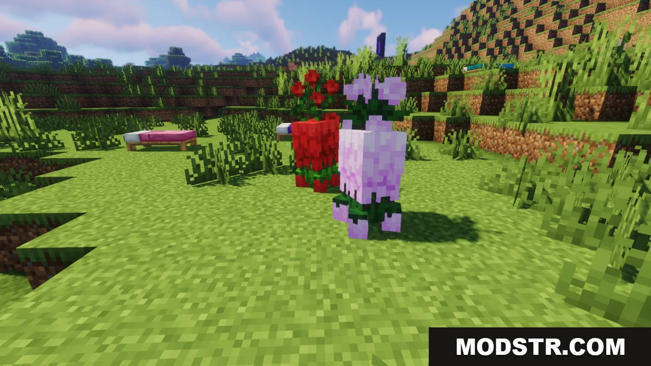 Red and purple flower creepers standing together in a grassy field