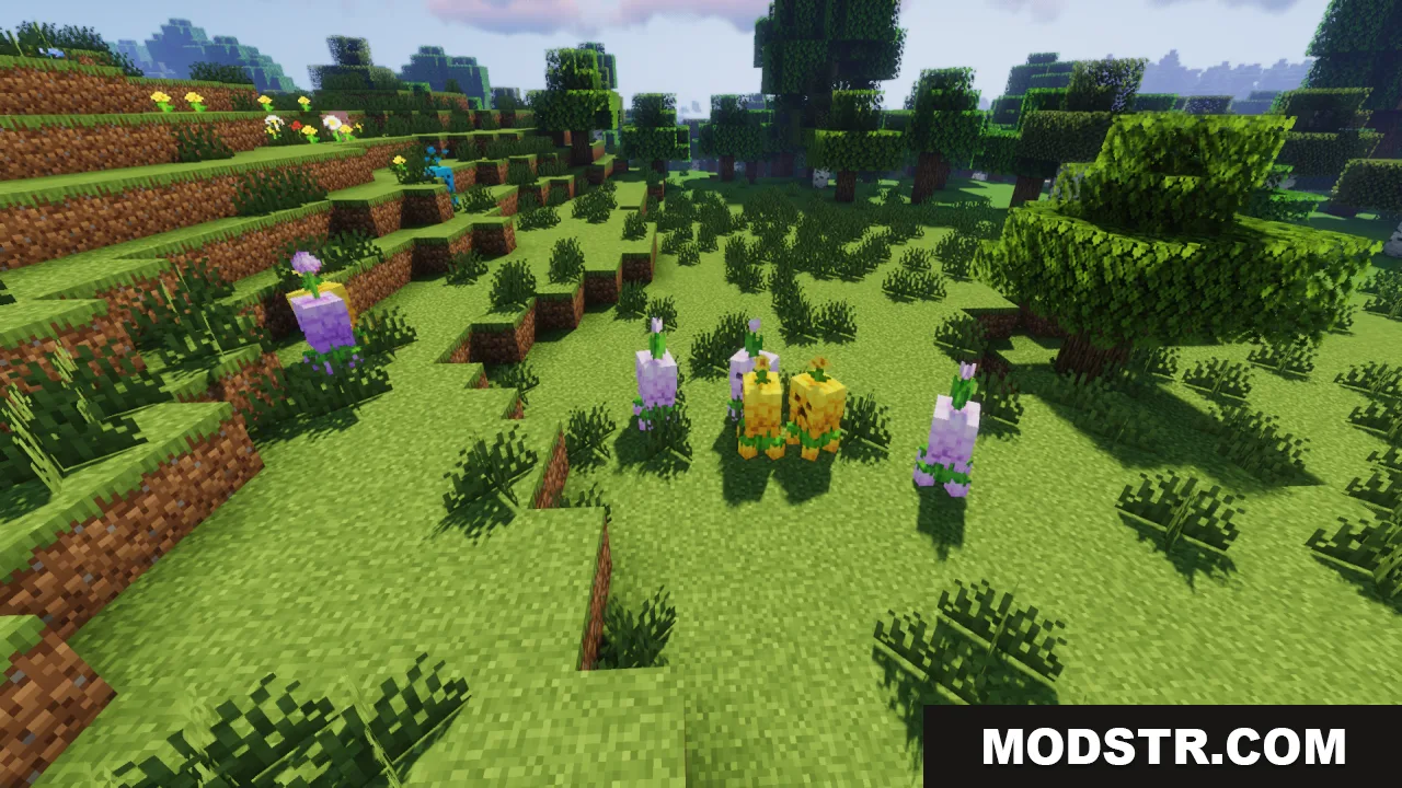 Small purple and yellow floral creepers standing together in a grassy field