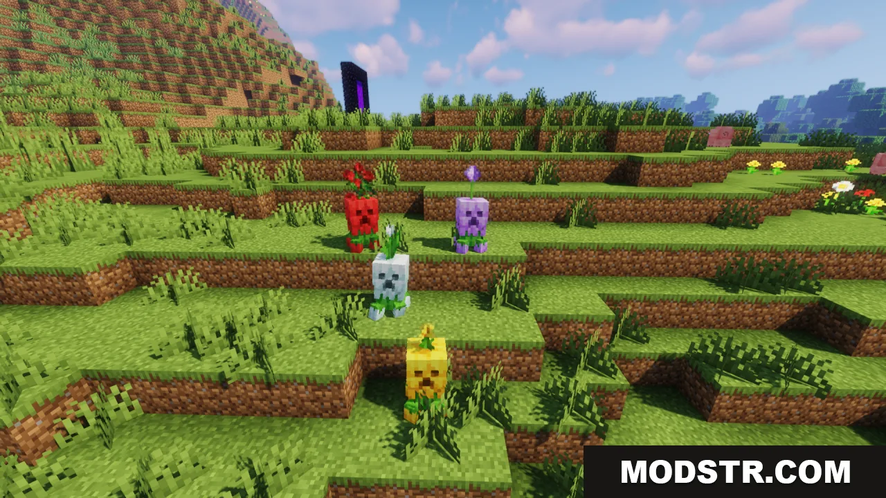 Several small colorful flower creepers standing on a grassy hill in daylight