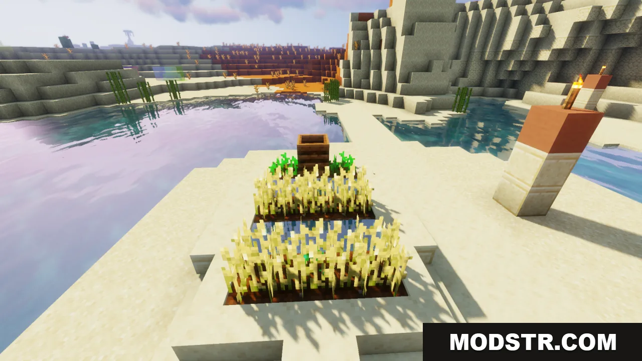 Flowering Crops Growth Marker Resource Pack Screenshot 3 A small wheat farm with a composter in a desert village