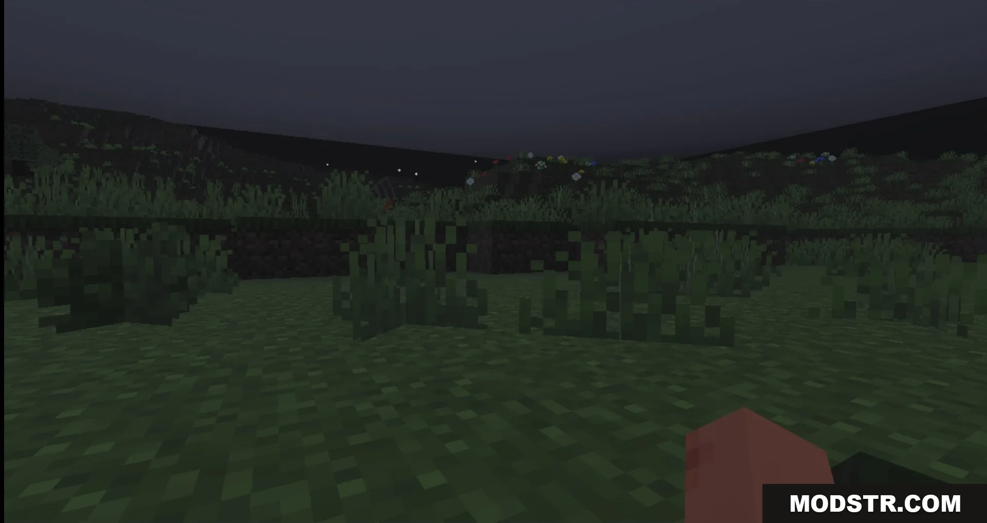 Dark Minecraft night landscape with optimized grass textures and special biome fog
