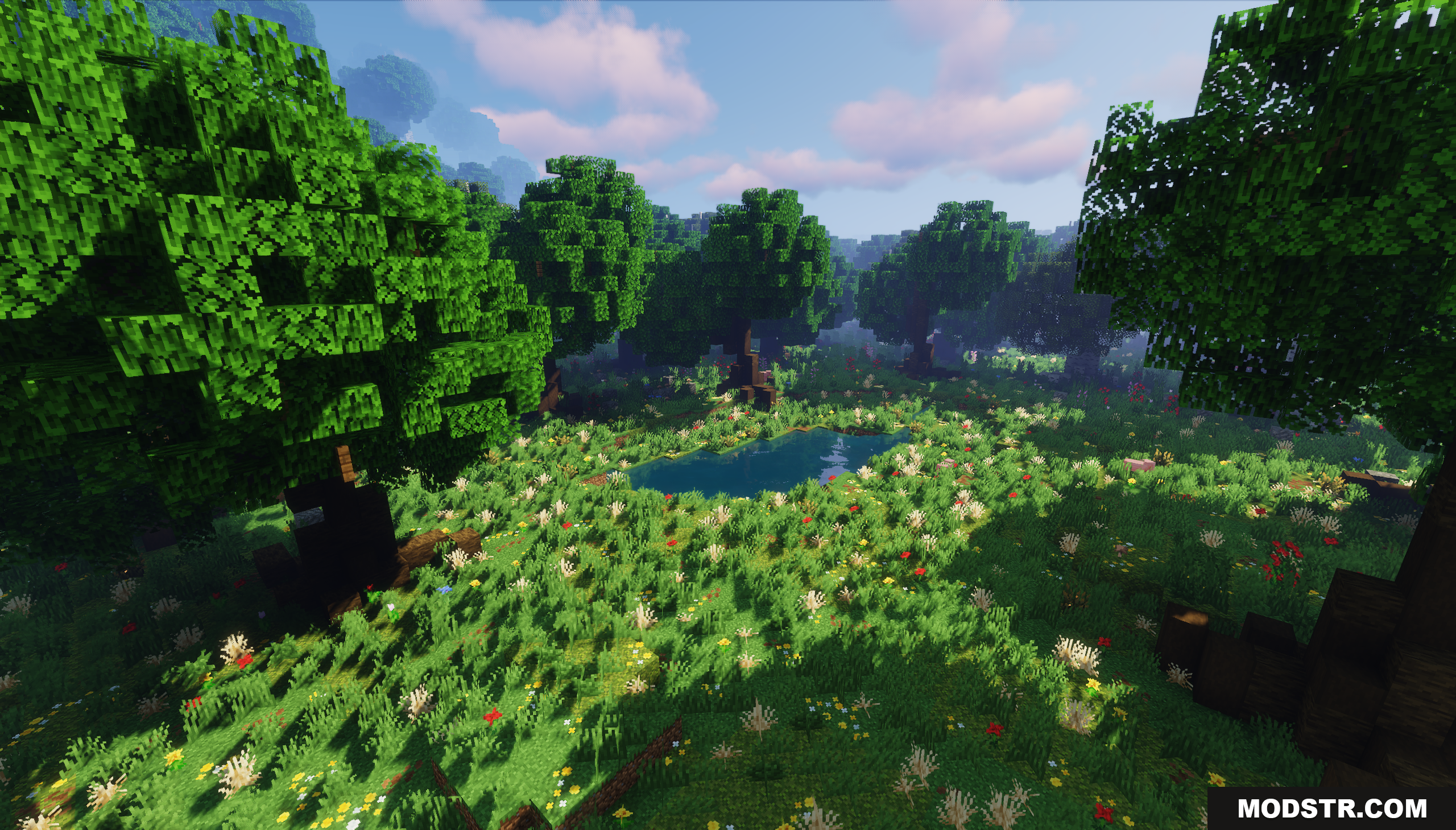 Fugue Forest Map Screenshot 7 Small pond surrounded by tall grass and colorful flowers in the forest