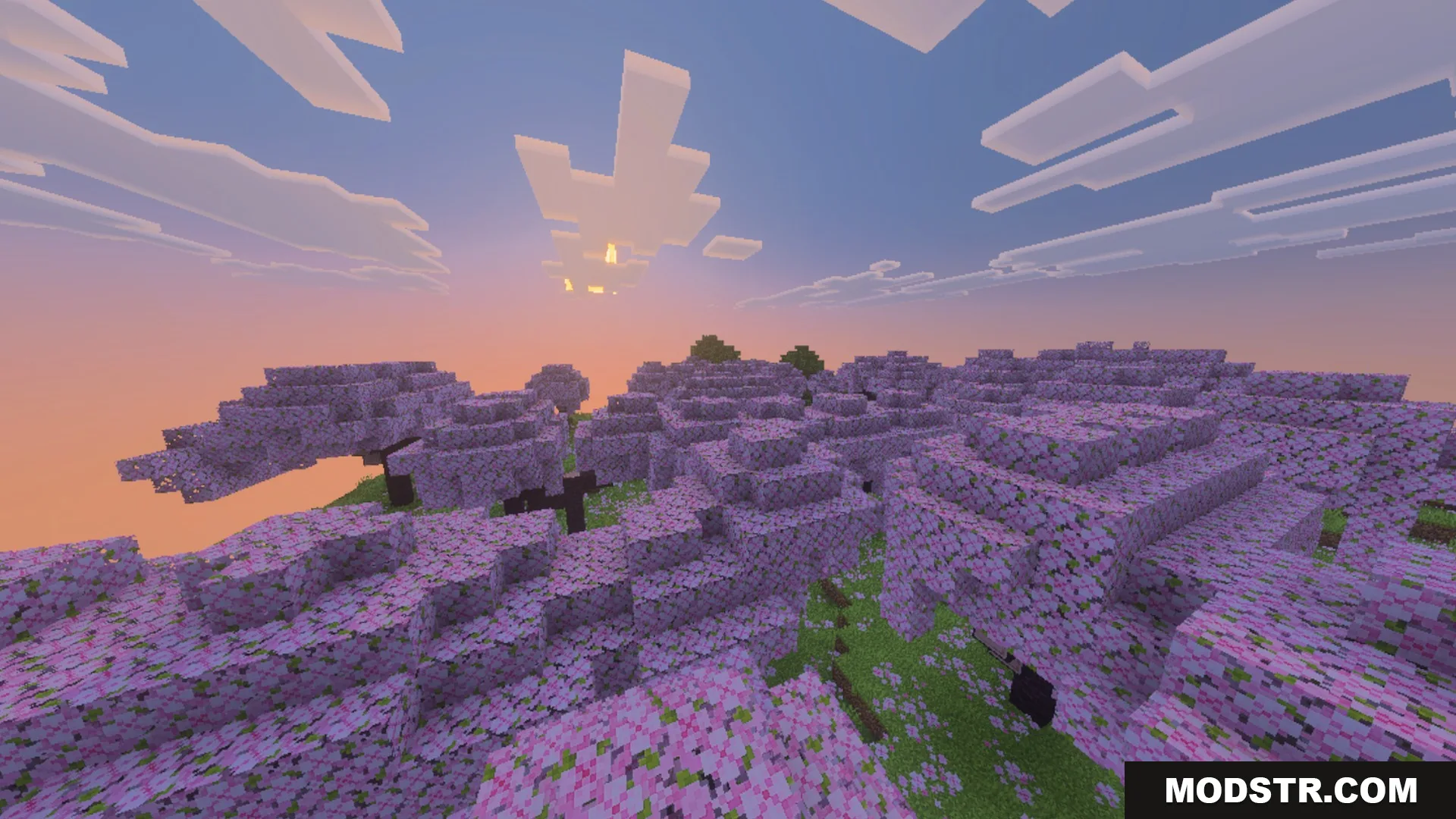Glimmering Armor Trims Copper Age Shader Screenshot 2 A vast cherry blossom grove under a warm sunset with blocky white clouds
