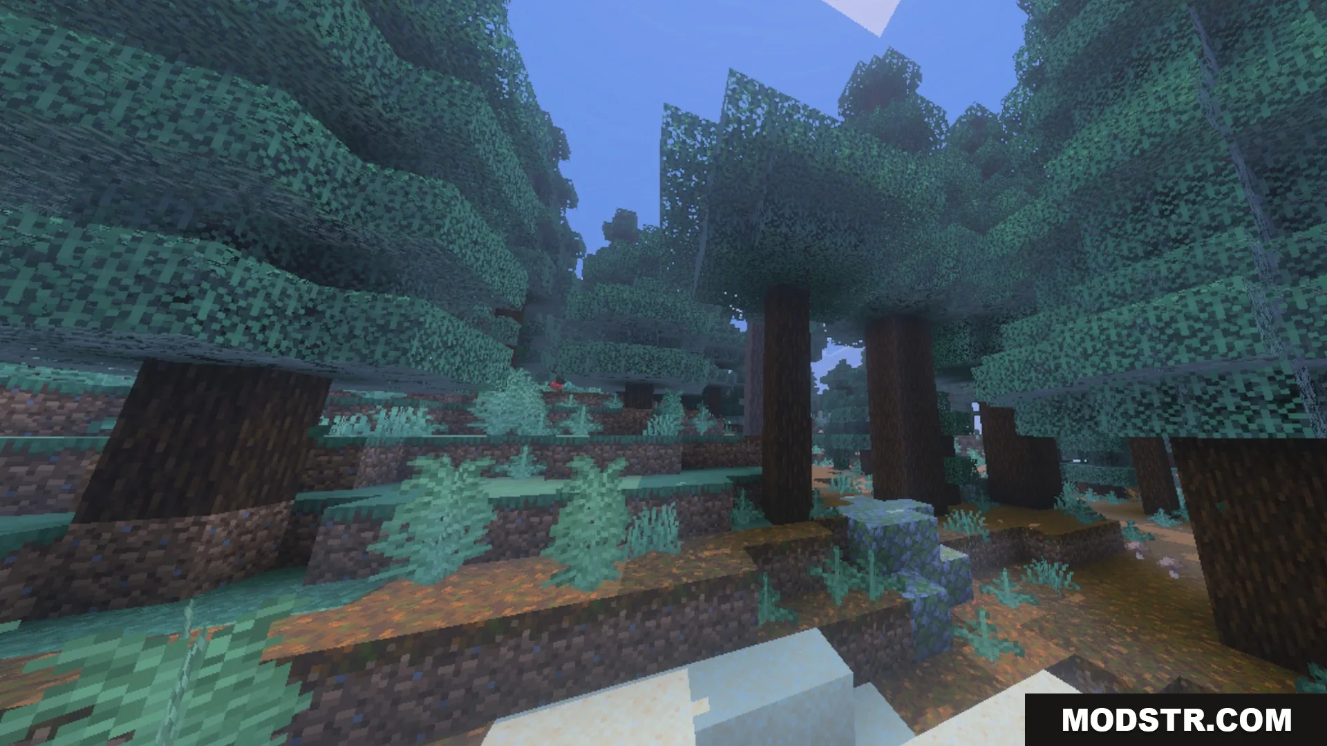Glowy Ores Shader Screenshot 8 Tall spruce trees standing in a dense forest with podzol ground blocks