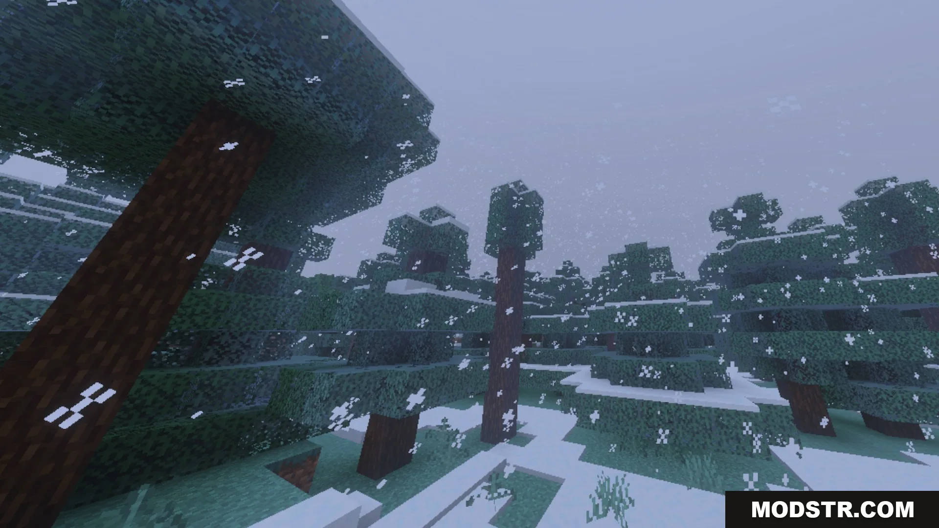 Glowy Ores Shader Screenshot 10 Spruce trees covered in snow during a blizzard in a taiga biome