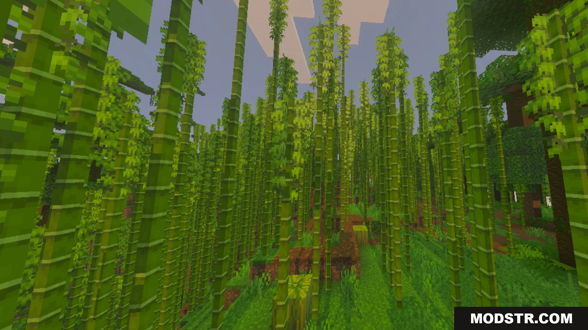 Glowy Ores Shader Screenshot 9 Tall green bamboo stalks growing in a dense jungle biome in Minecraft