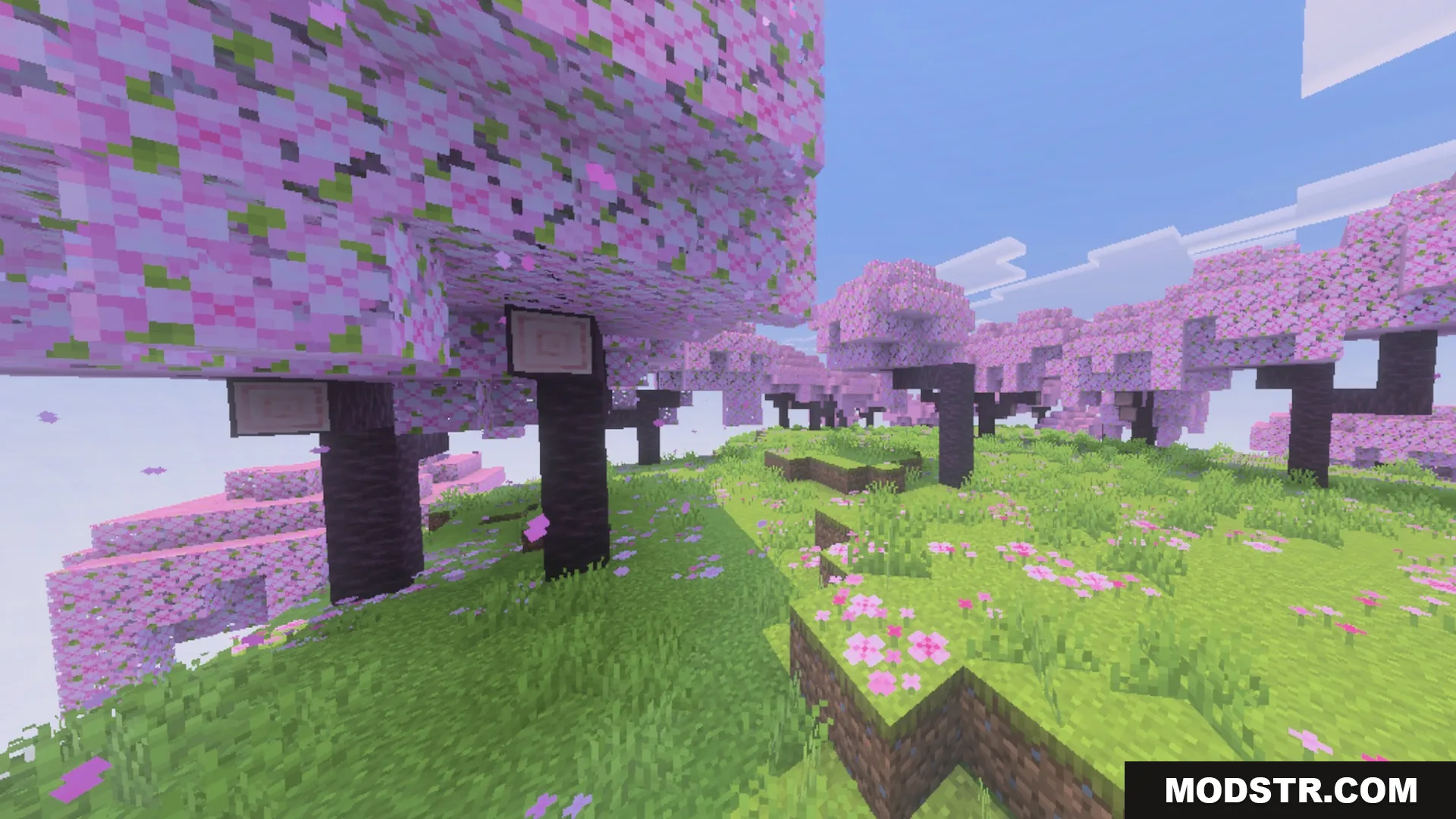 Glowy Ores Shader Screenshot 7 Beautiful cherry blossom grove with pink flowering trees and lush green grass