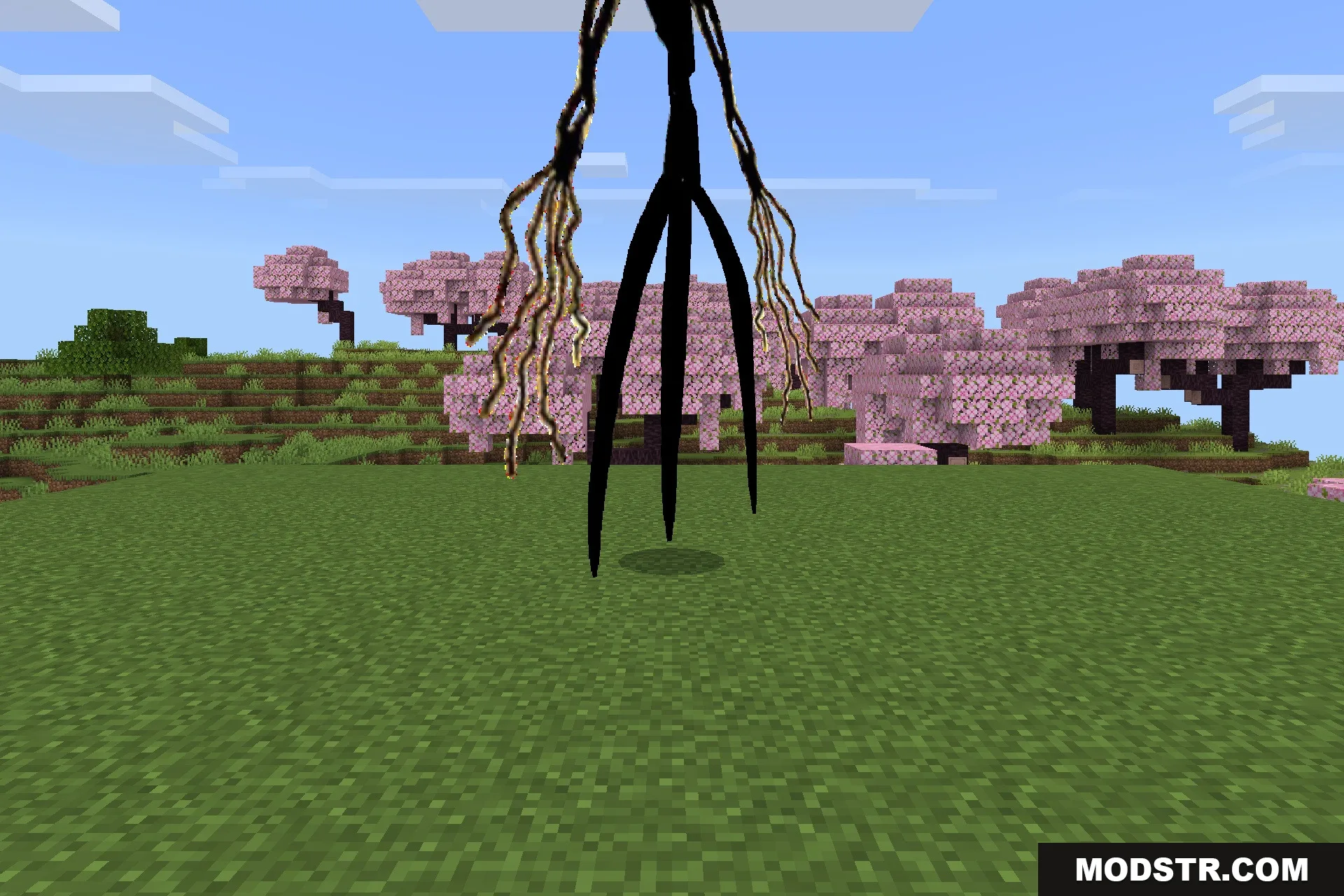 Goat Stalker Addon Screenshot 3 A tall black humanoid creature standing in a cherry blossom forest biome