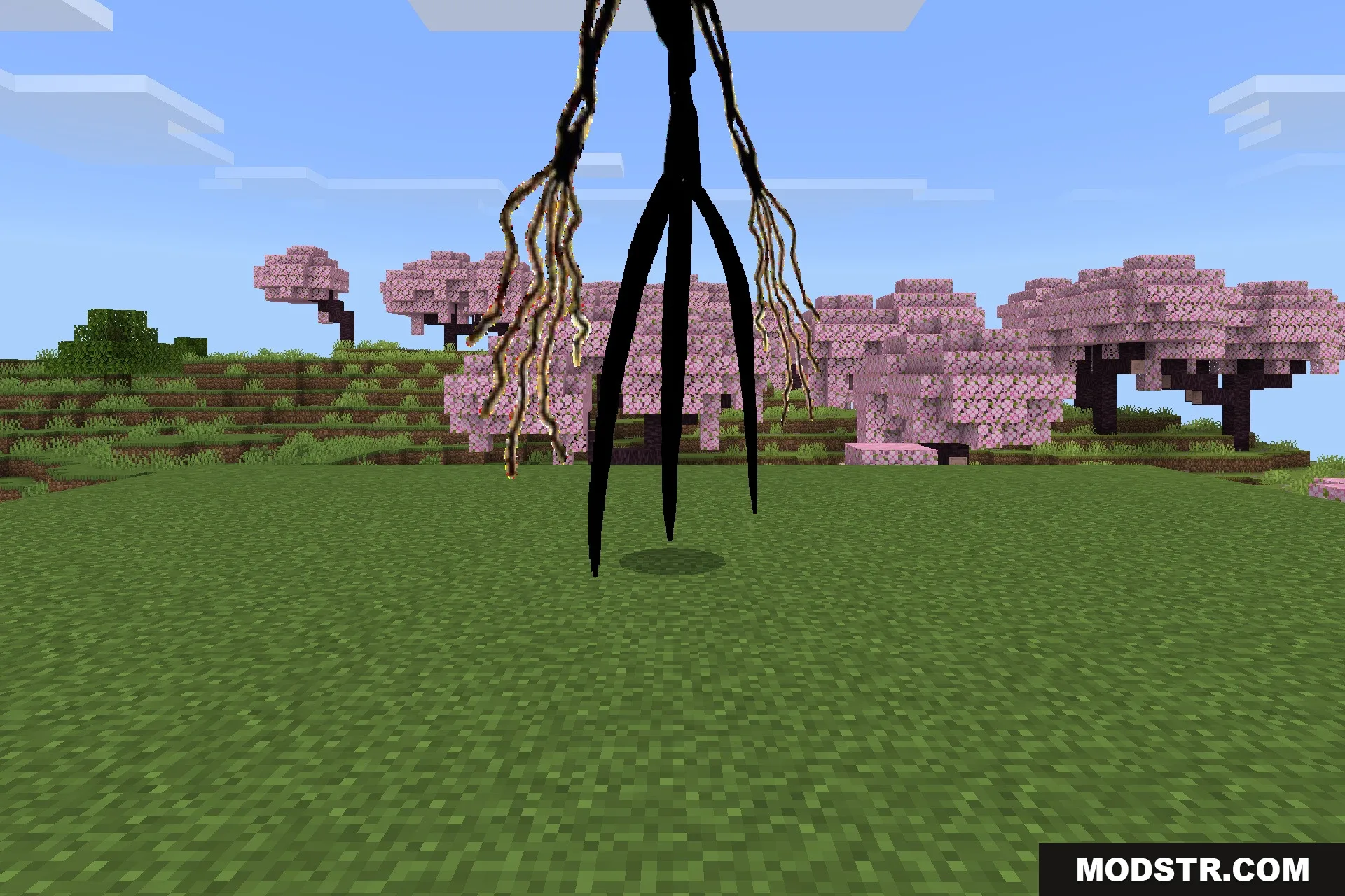 Goat Stalker Addon Screenshot 2 A towering black beast with long limbs stands in a Minecraft cherry grove