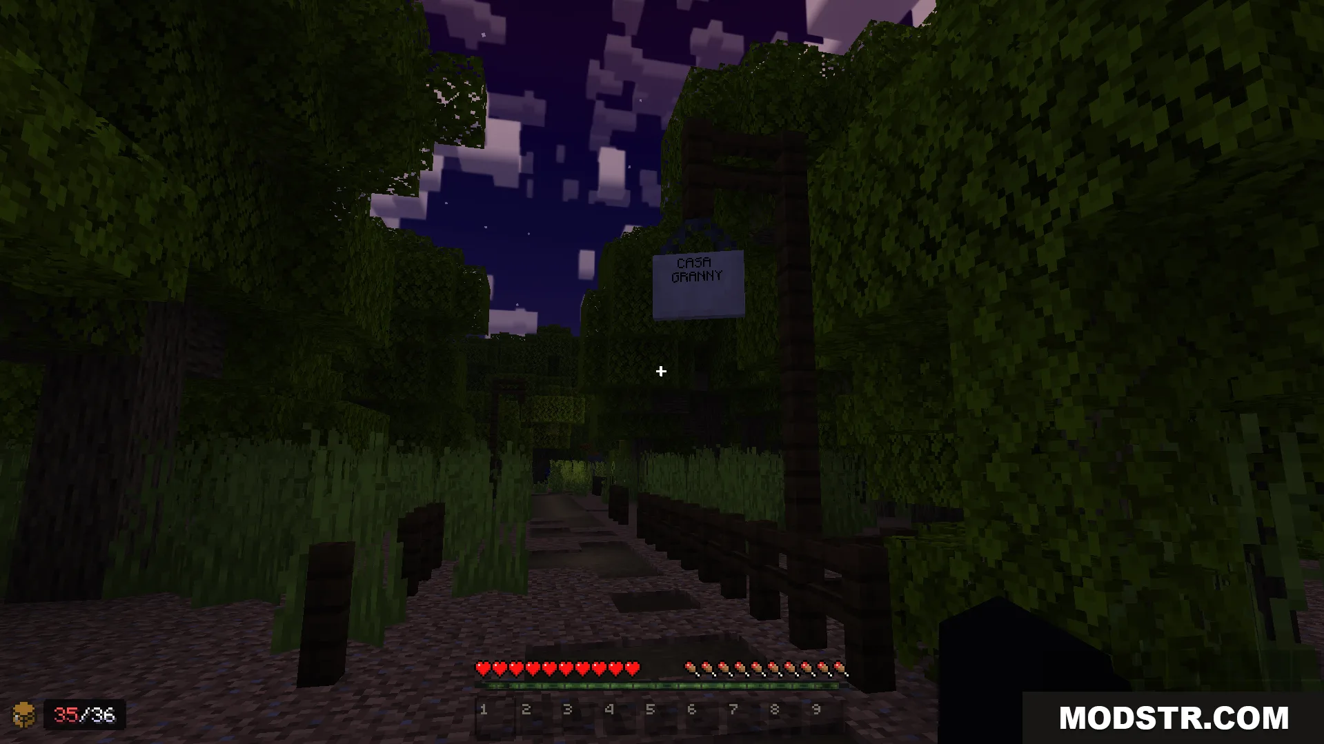 Granny V1 Map Screenshot 4 A dark path at night leads to the terrifying house