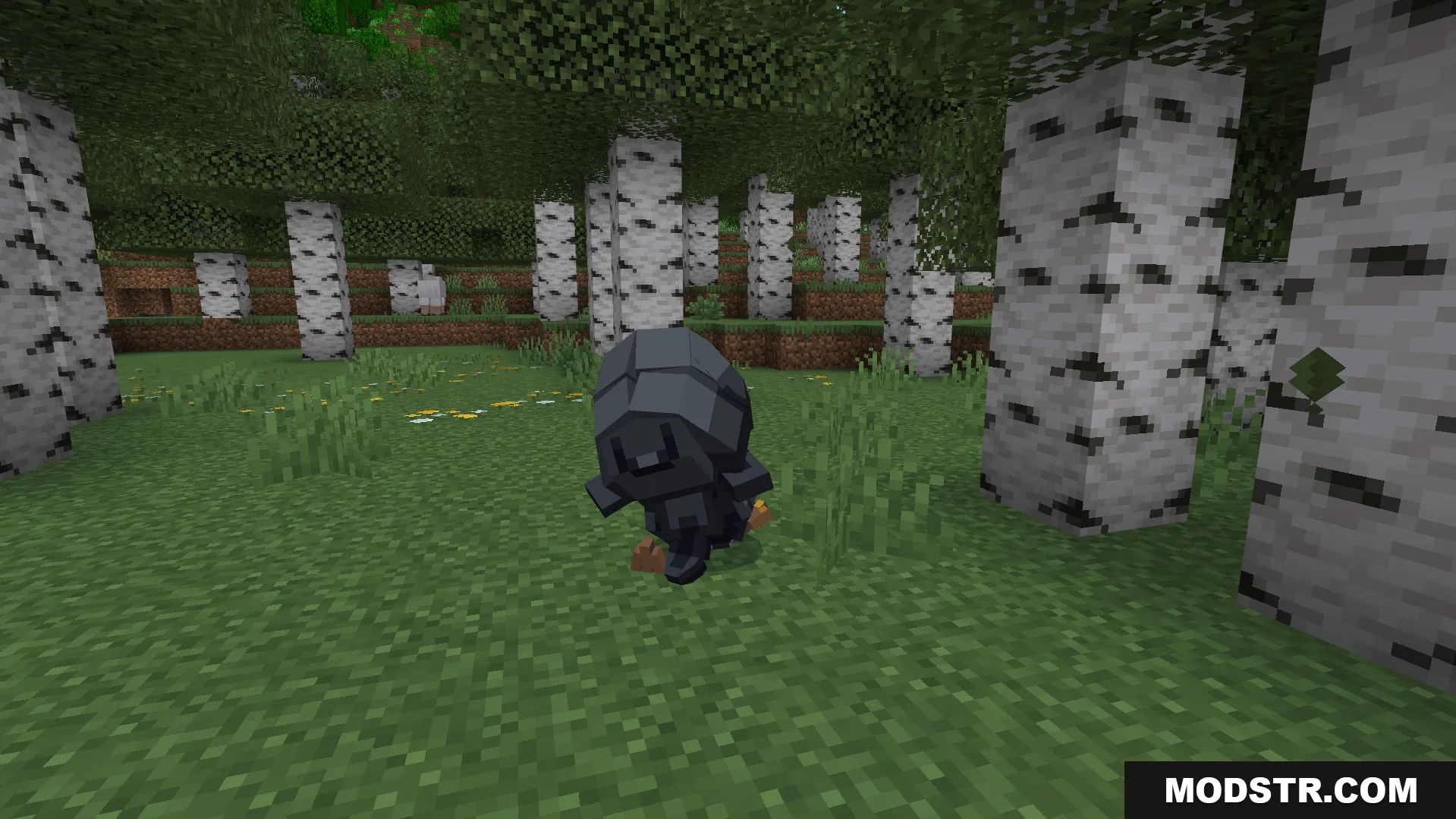 A small black penguin creature standing on grass in a birch forest