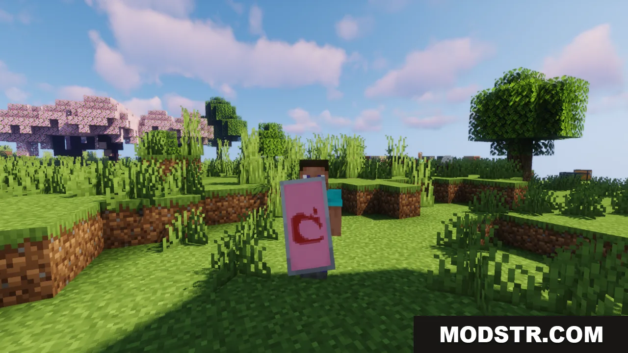 HD Shield Resource Pack Screenshot 6 A player character holding a pink shield with a high resolution red pattern