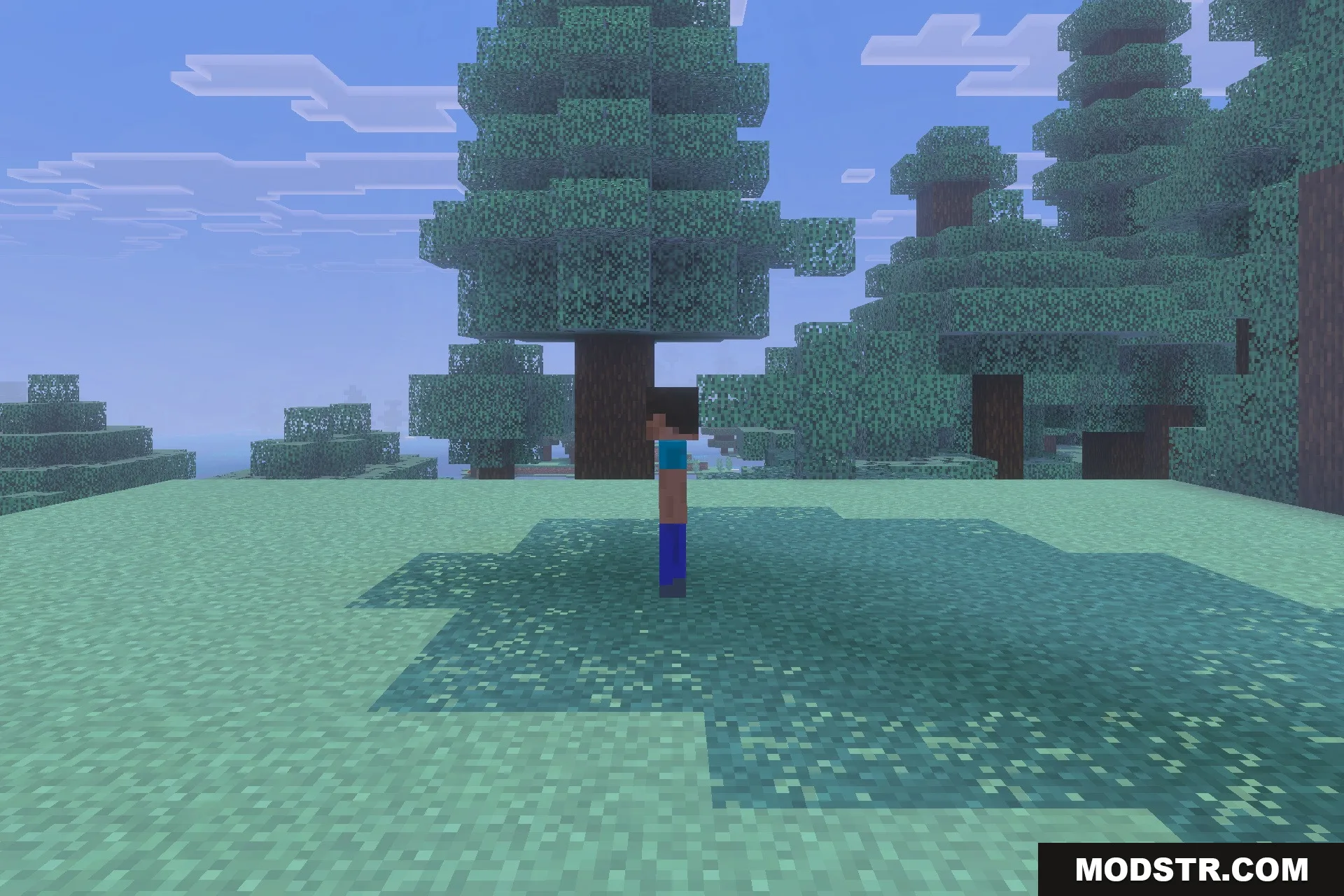 Herobrine Lurking Addon Screenshot 1 Herobrine stalks a player from behind a large spruce tree in the forest