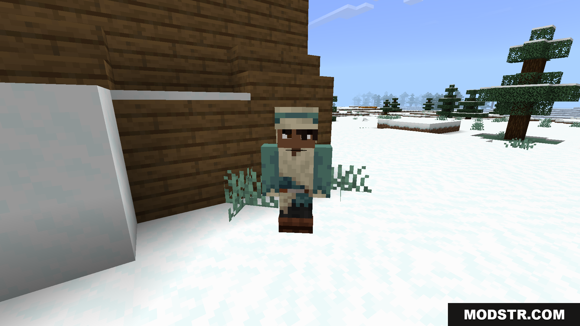 A villager changed into a unique human player model