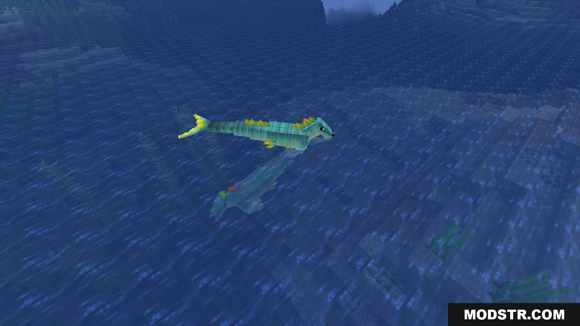 A green hippocampus swimming just below the water surface
