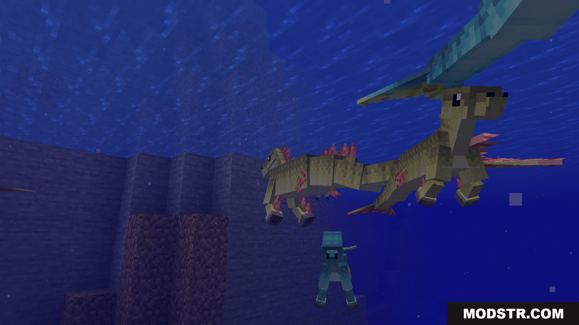 A large hippocampus and a small one swimming together