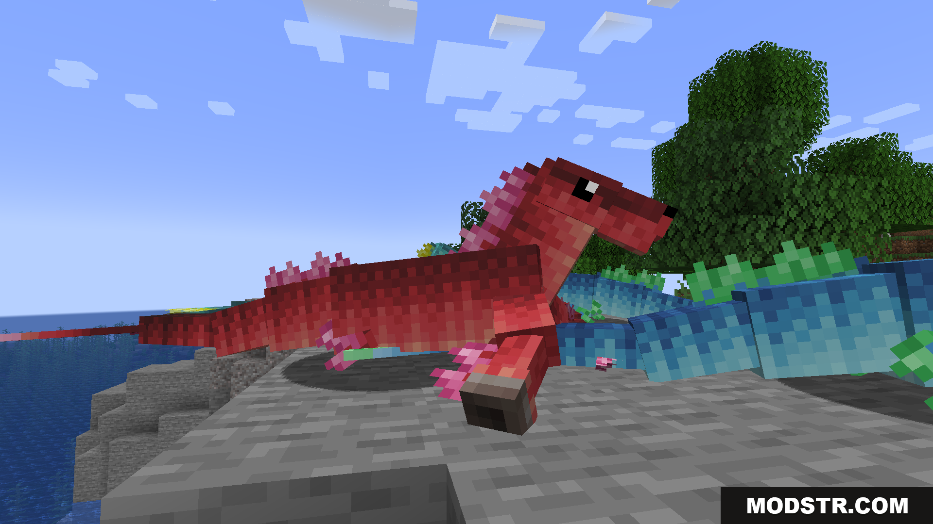 Red Hippocampus with pink fins standing on stone blocks