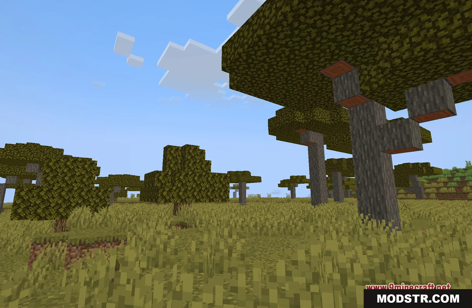 Image Shaders Screenshot 10