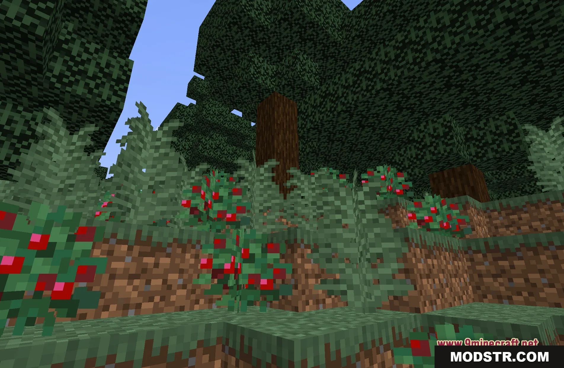 Image Shaders Screenshot 5