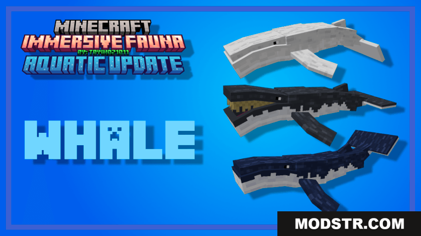 Three different whale models from the Immersive Fauna aquatic update