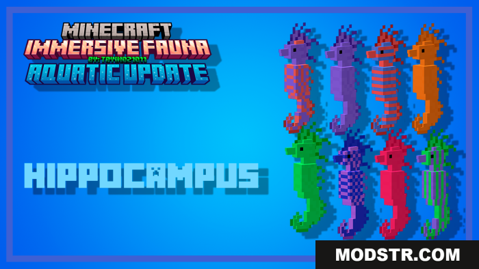 Eight colorful seahorse variants featured in the Immersive Fauna update