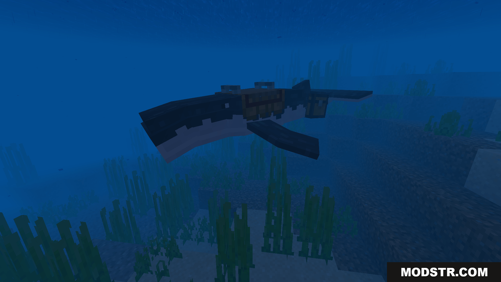 Immersive Fauna Aquatic Update Addon (26.x, 1.21) – Add 15+ Mobs