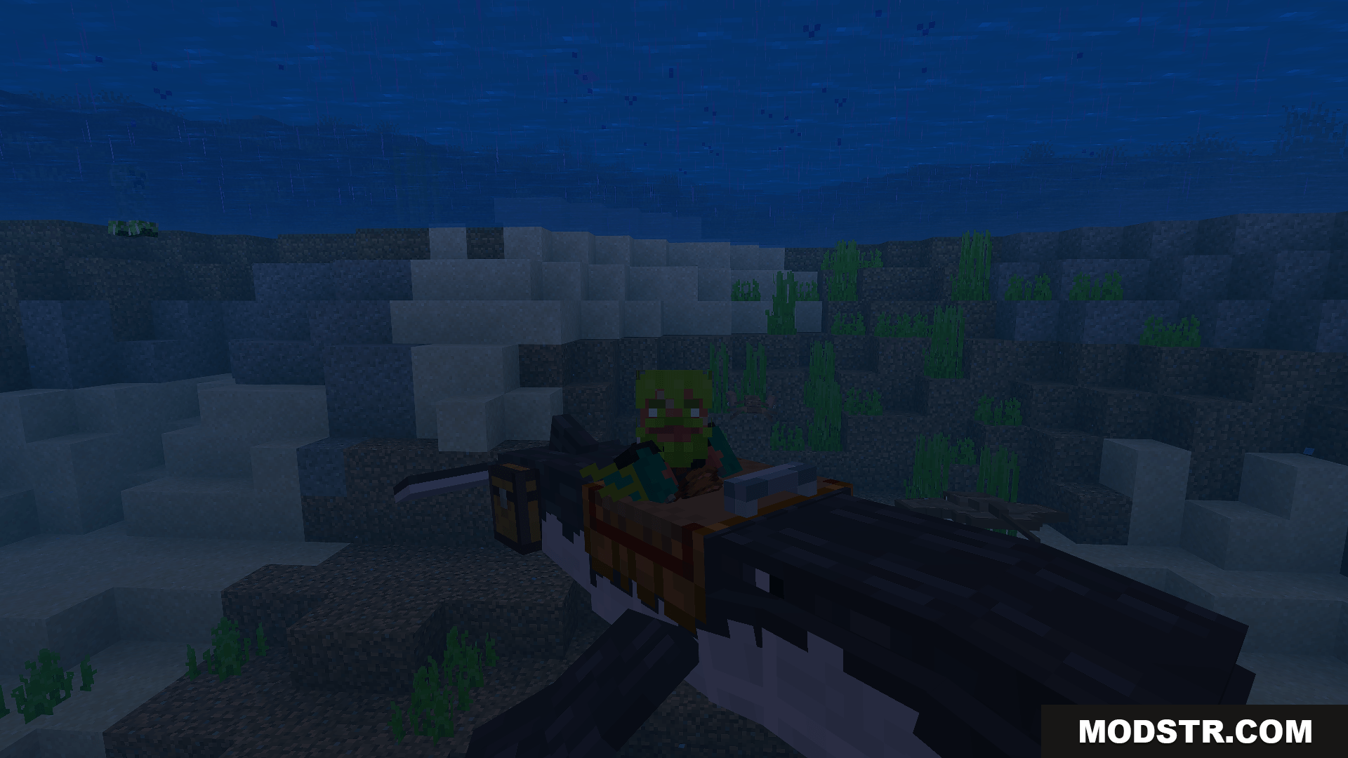 A player rides a whale underwater in this Minecraft addon