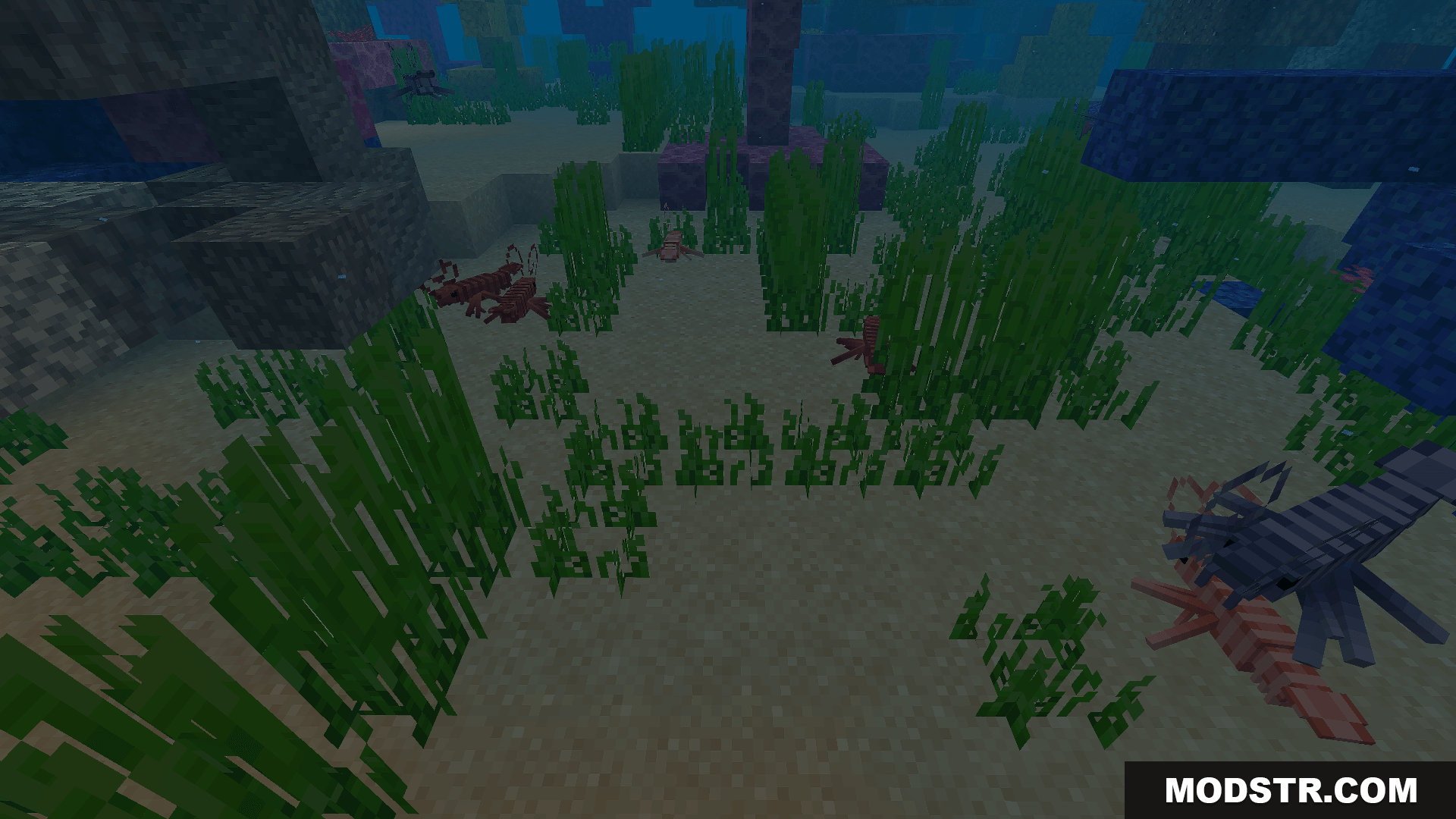 A group of lobsters swim underwater in this Minecraft addon