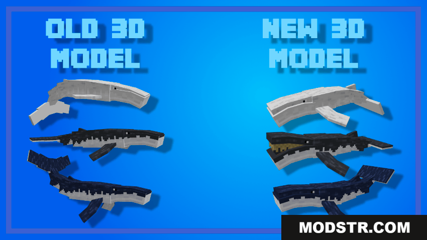 Comparison of old and new whale models in Minecraft Bedrock