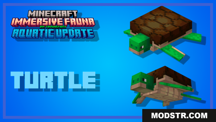 Two turtles featured in the Immersive Fauna Aquatic Update addon