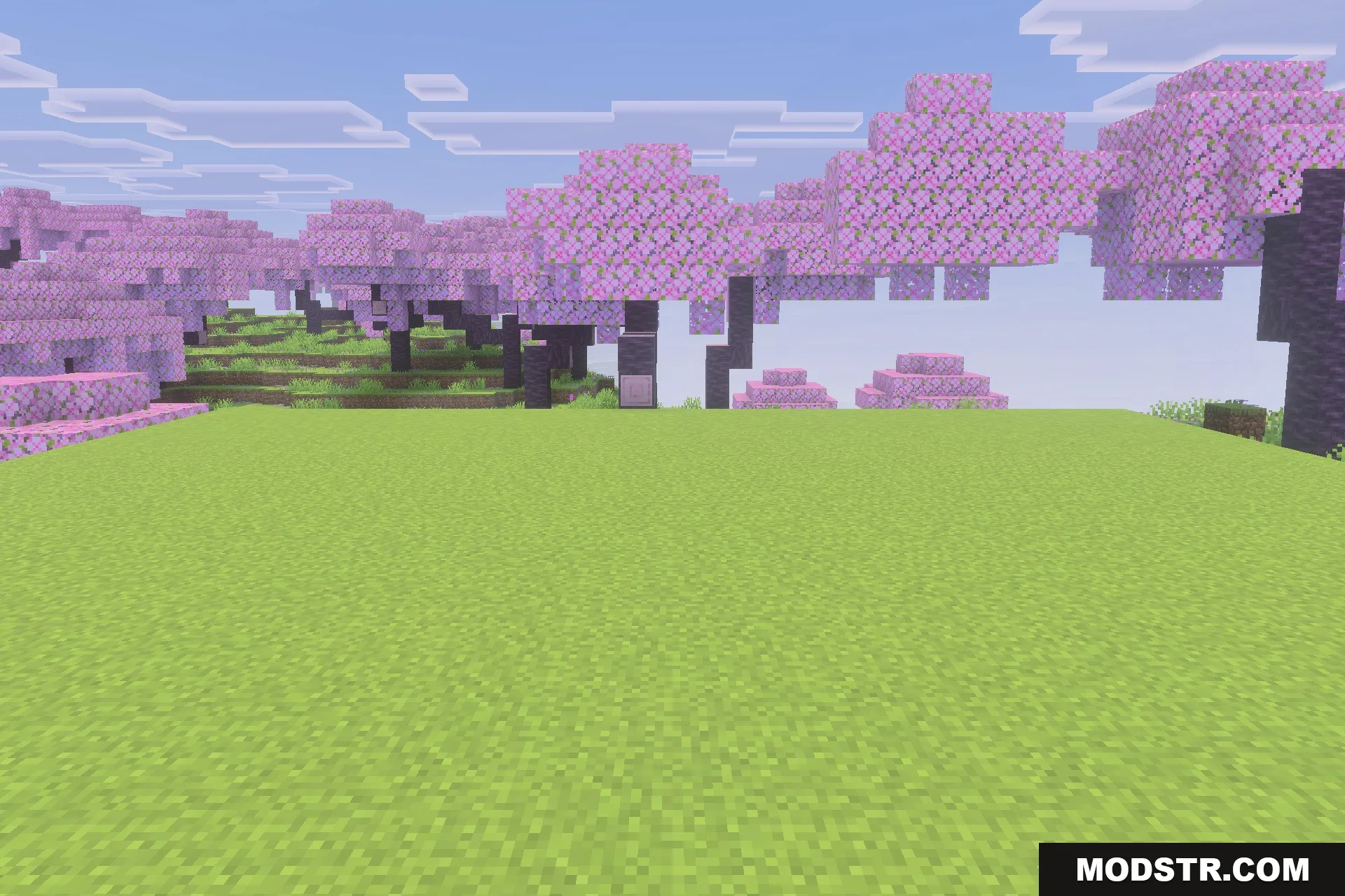 Immortal Dogs Addon Screenshot 1 A peaceful cherry blossom biome with pink trees and a wide green field