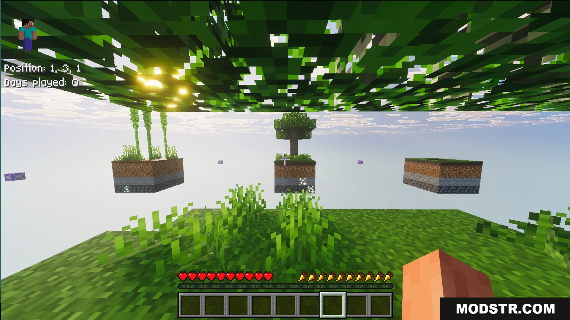 Player overlooking several small floating islands with trees and sugarcane in Infinite Skyblock Map