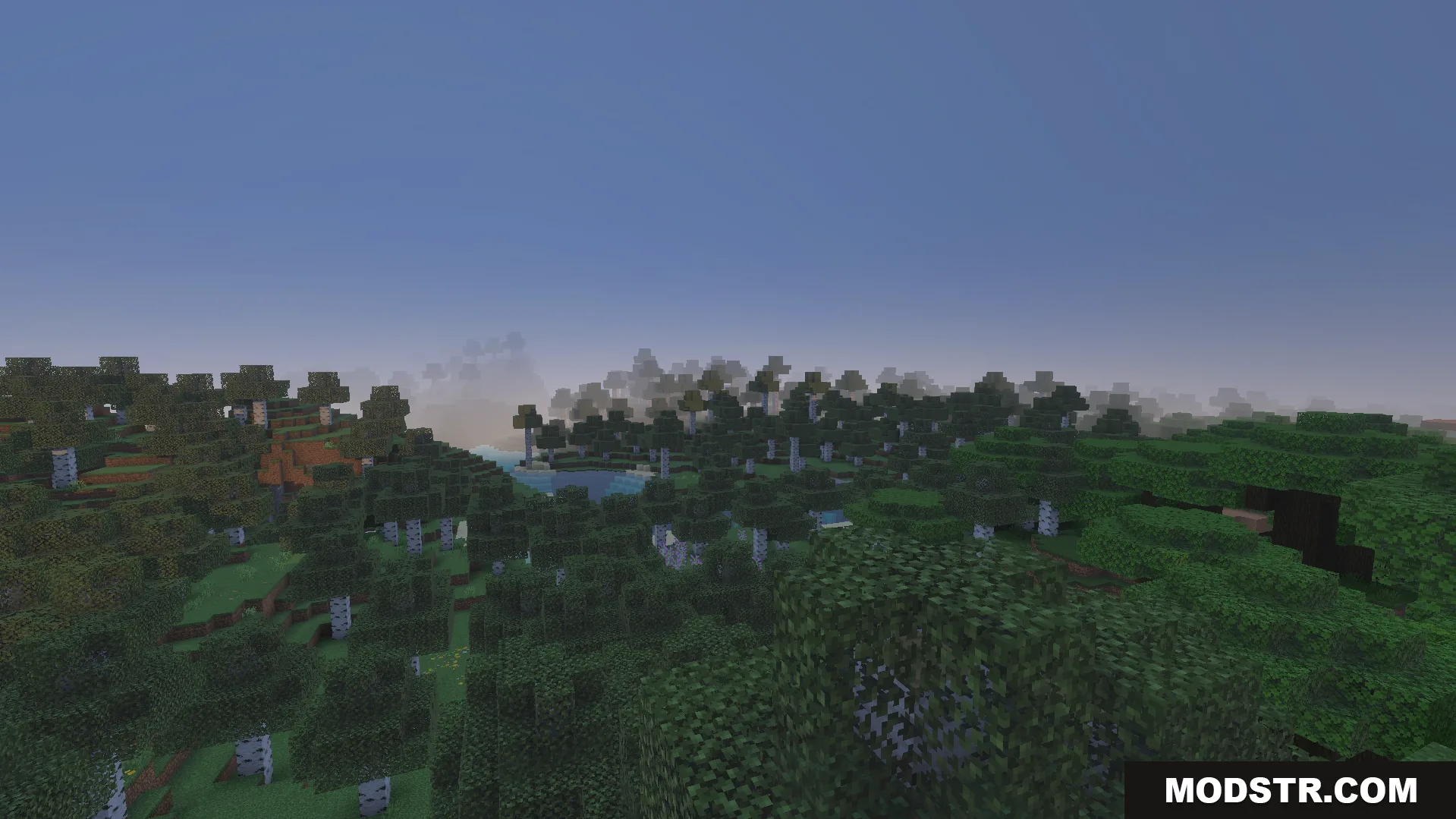 Brightly lit forest landscape showing the clear visibility effect during nighttime