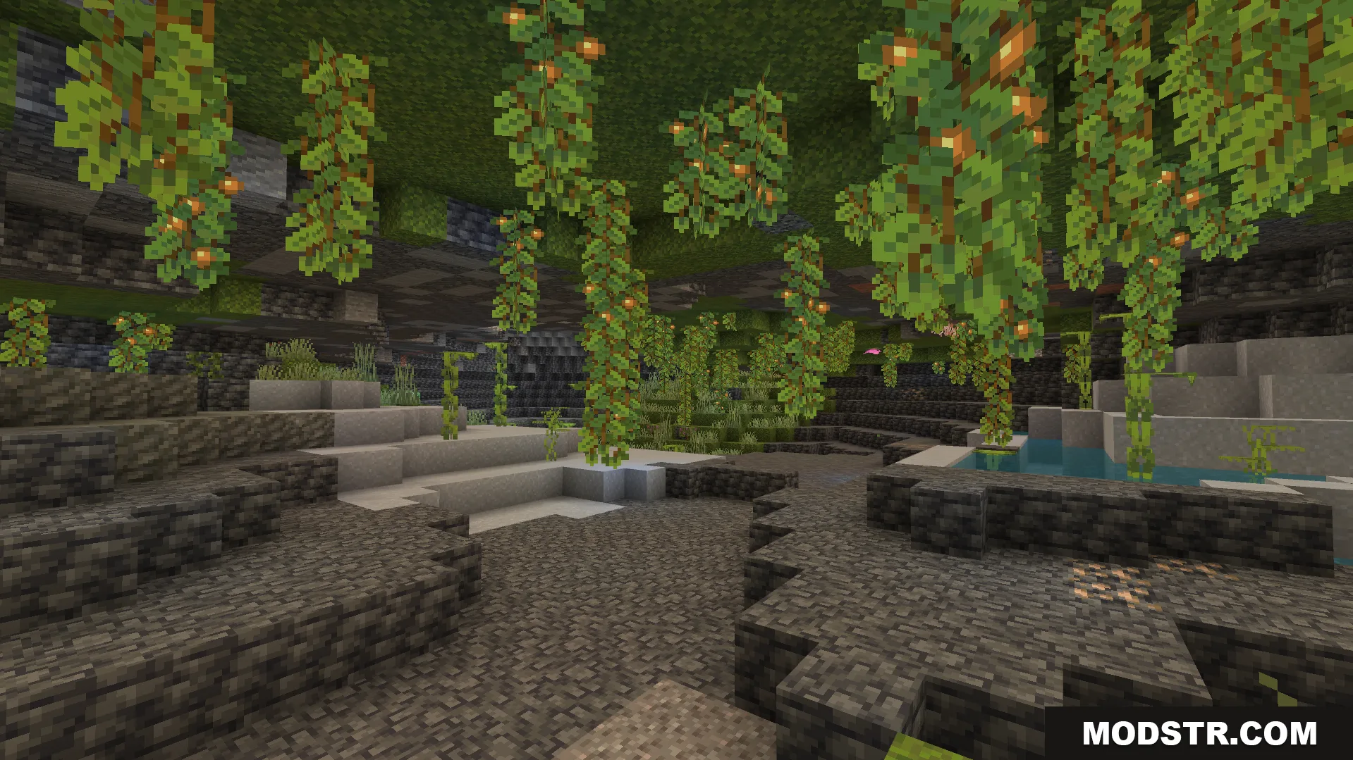 Lush cave biome with glowing berries hanging from the ceiling