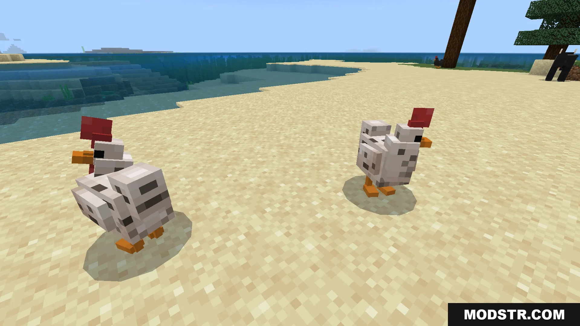 Two chickens with custom models and textures standing on a sandy beach