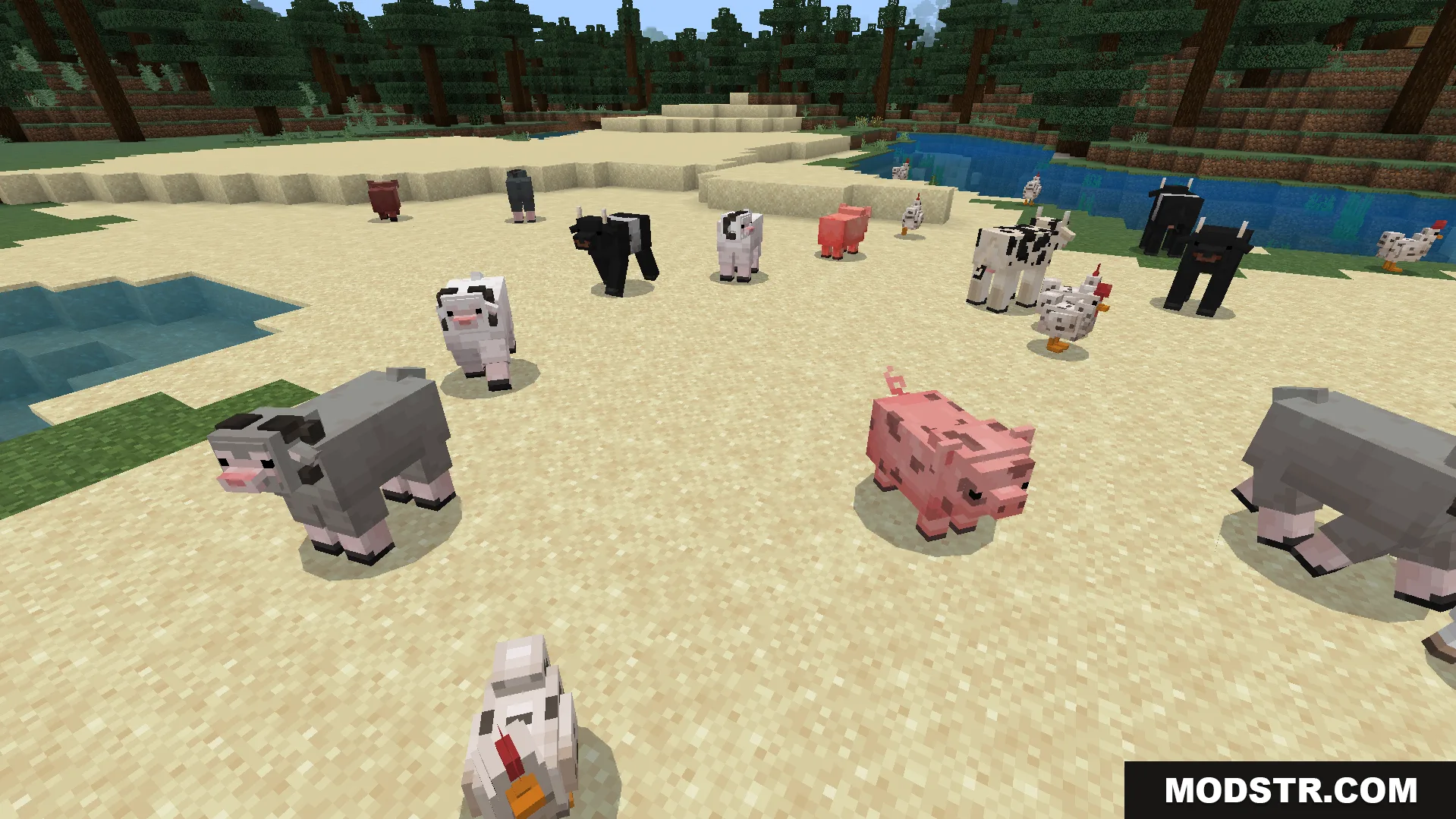 Various animal variants including cows and sheep standing on a sandy beach