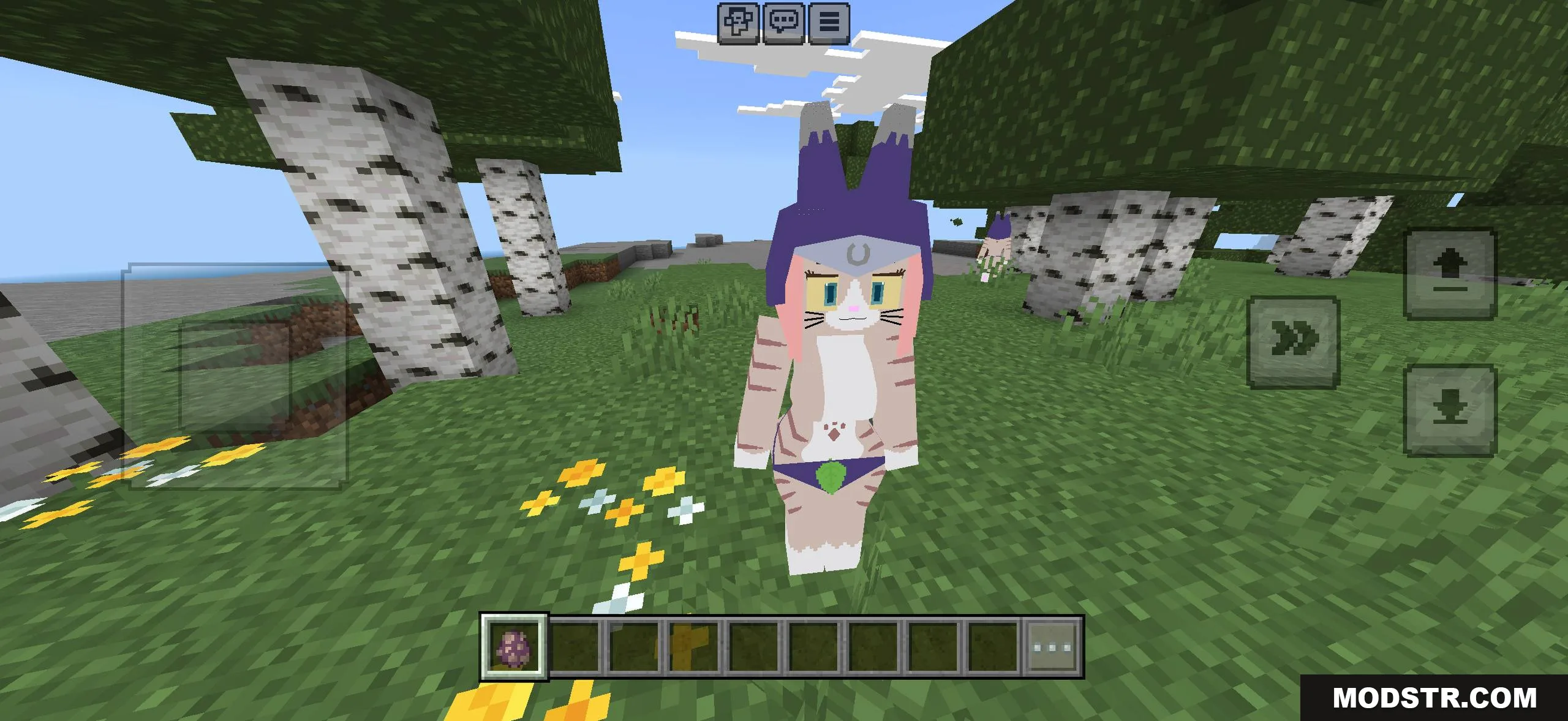 Bia model preview for Minecraft PE