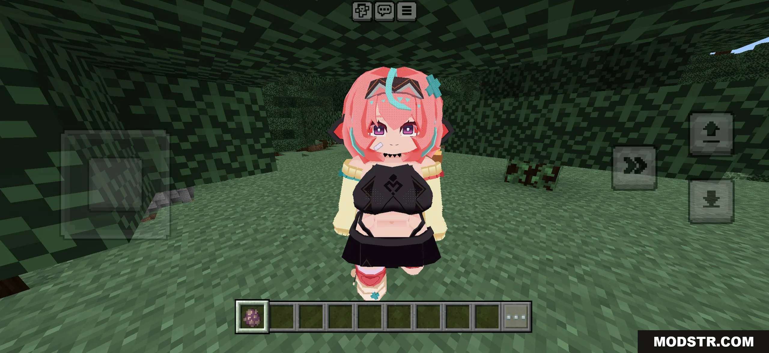 Minecraft PE Bia character model preview