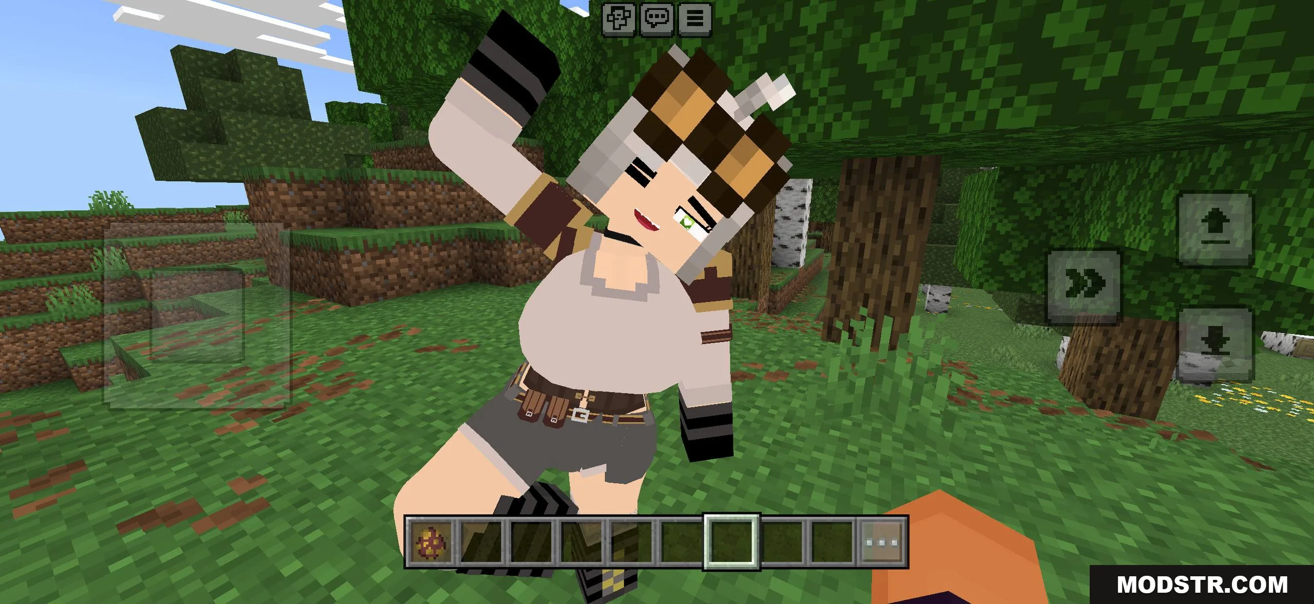 Extra Jenny-style model from Minecraft Bedrock pack