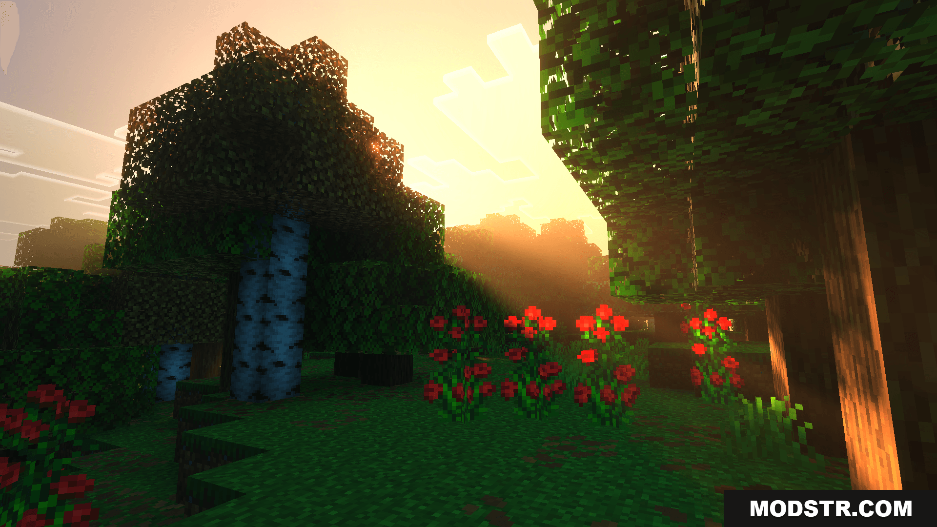 Jyls Visualizer Texture Pack Screenshot 4 Jyls Visualizer Texture Pack Screenshot 4