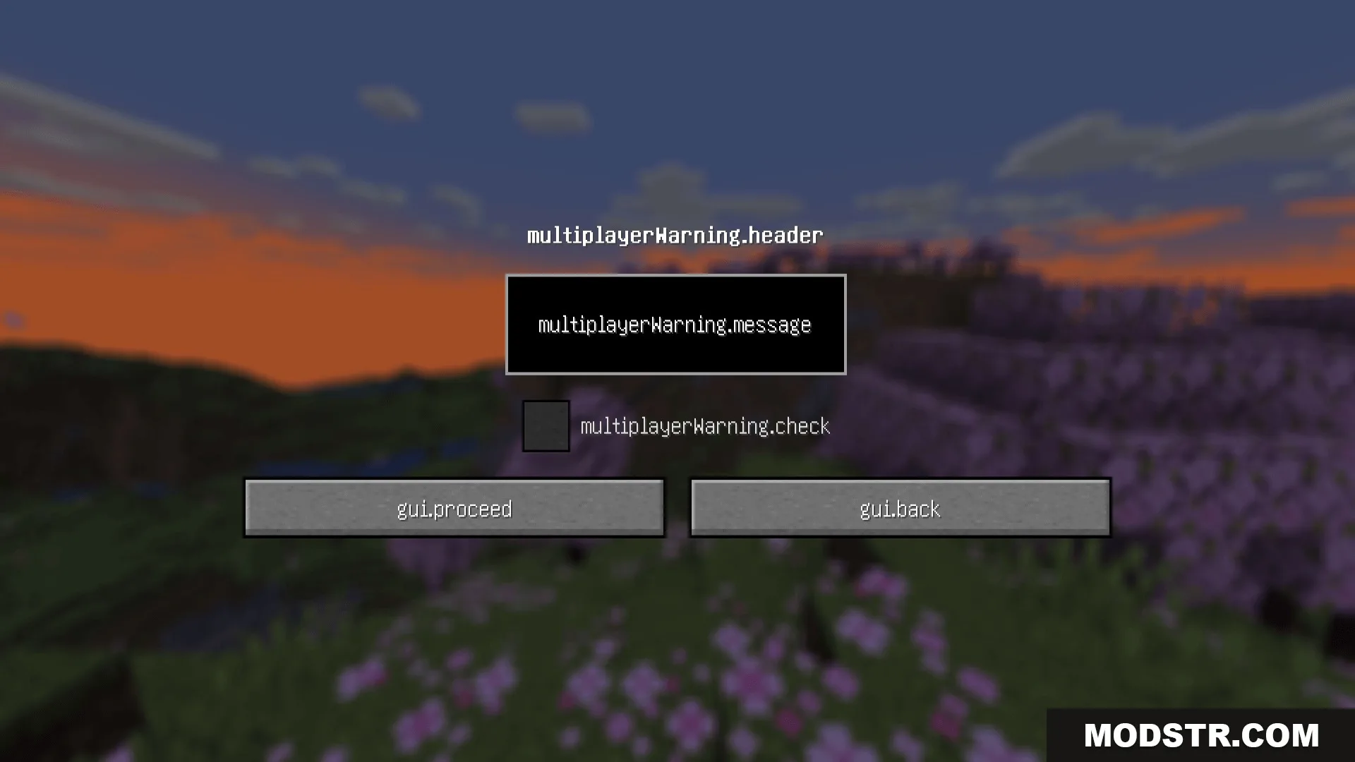 A Minecraft multiplayer warning screen showing raw translation keys for all menu text