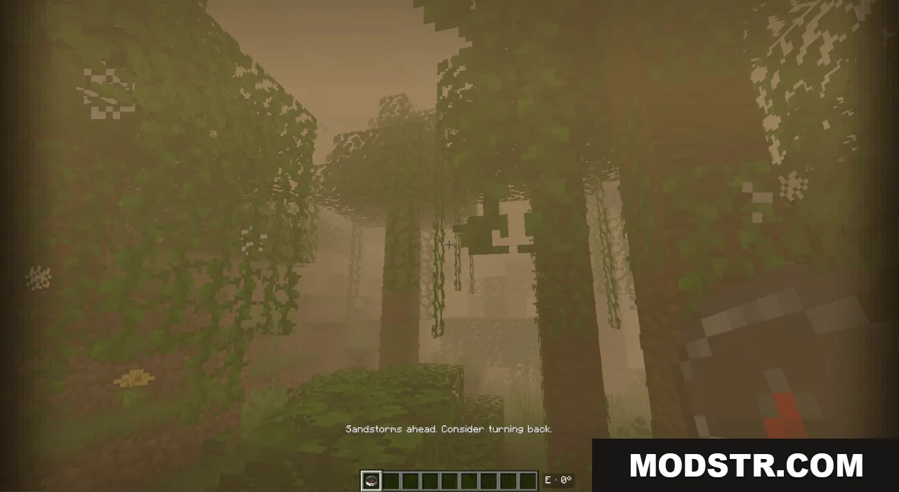 Warning message about sandstorms appearing on screen while exploring a foggy forest