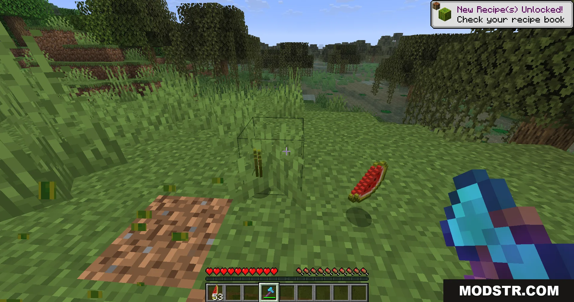 Legacy Mechanics Data Pack Screenshot 10 Melon slices dropped on the ground after harvesting a melon block in Minecraft