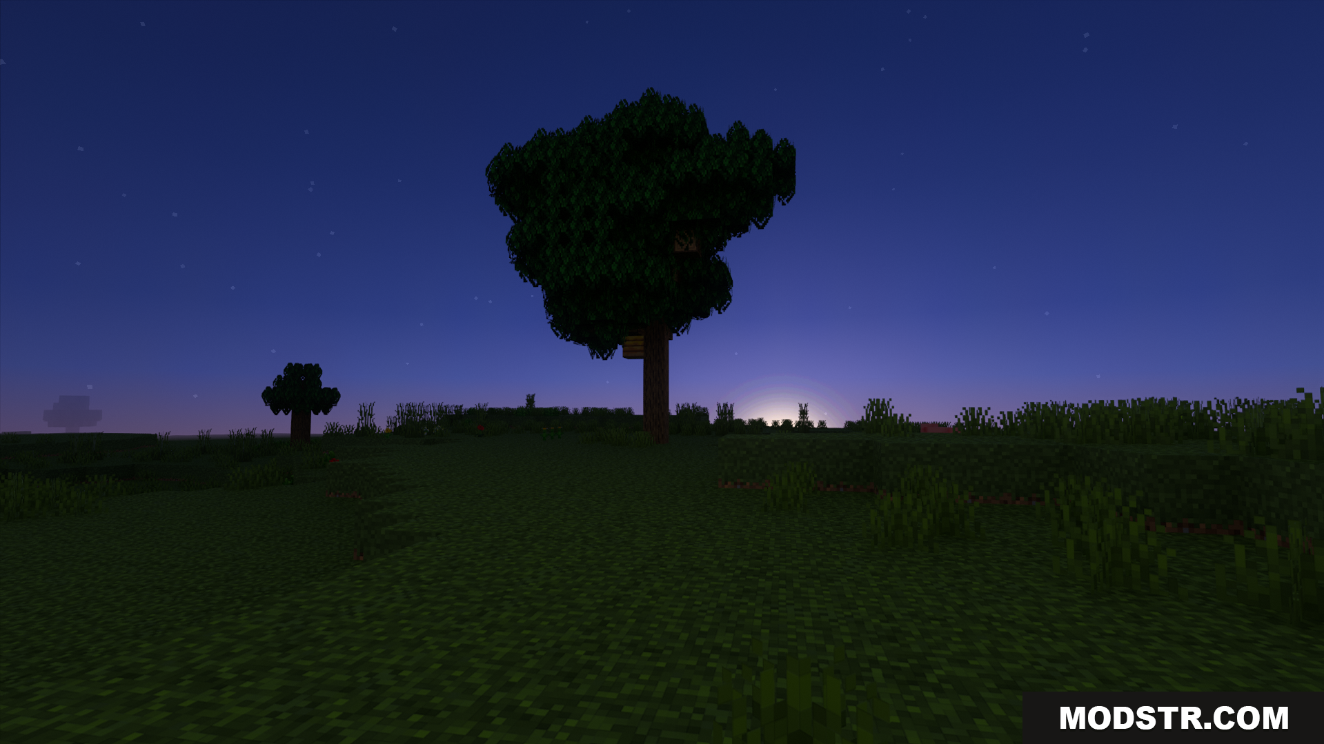 Light Path RTX Texture Pack Screenshot 2 Bushy leaves give this tree a more natural shape at night